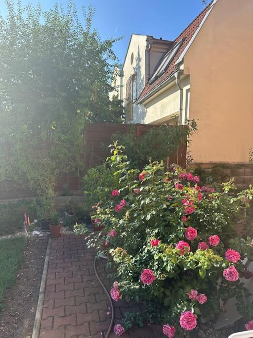 Family-Friendly Prague 5 Stay Eksteriør bilde